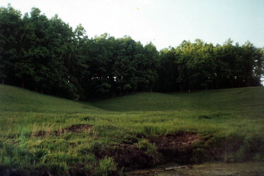 59.jpg