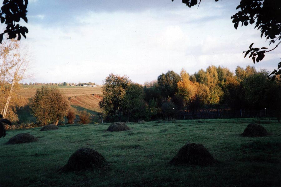 79.jpg