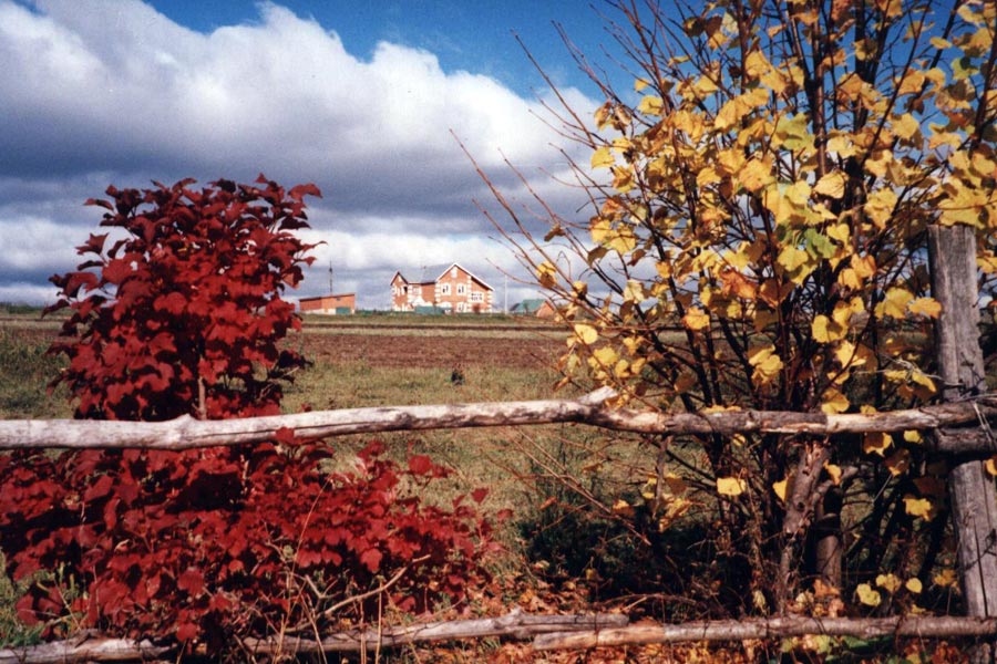 86.jpg