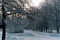 04.jpg