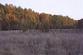 117.jpg