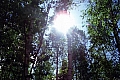128.jpg