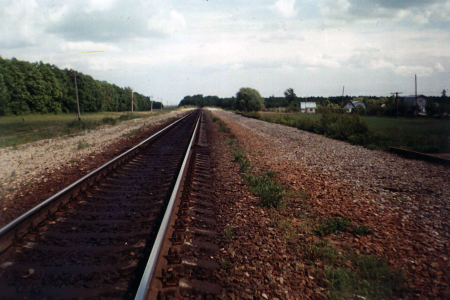 51.jpg