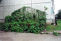 07.jpg