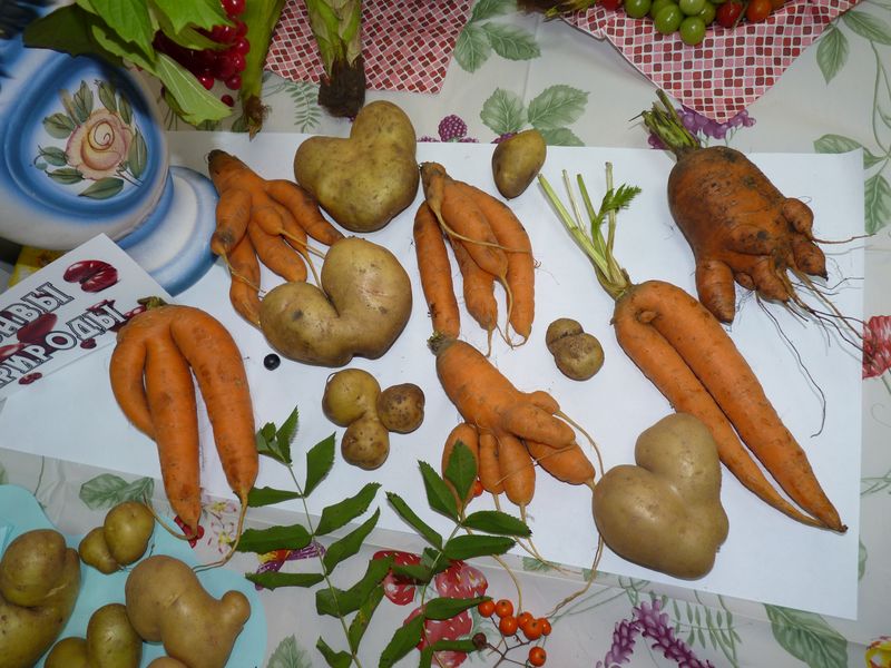 P1040019.JPG