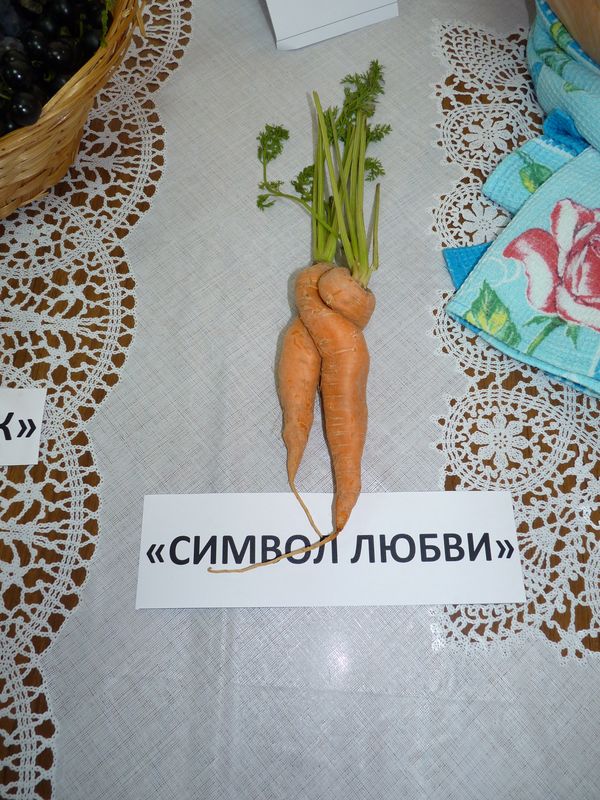 P1040027.JPG