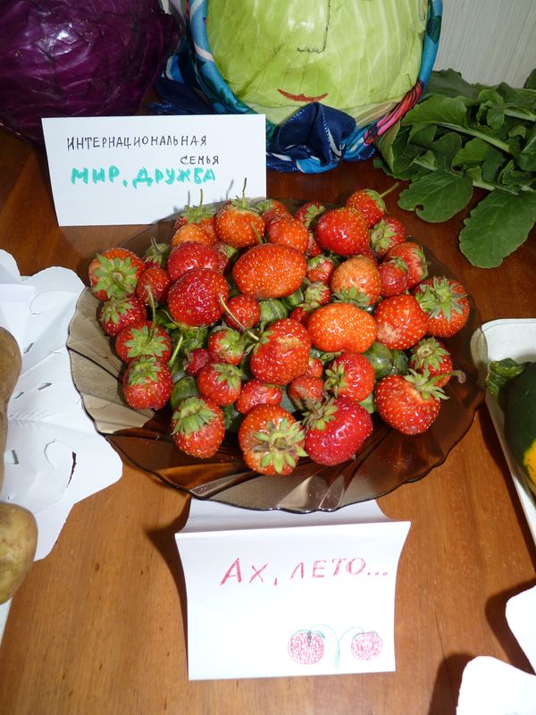 P1040031.JPG