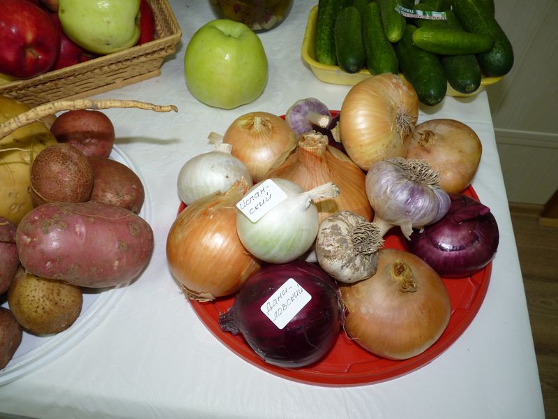 P1040042.JPG
