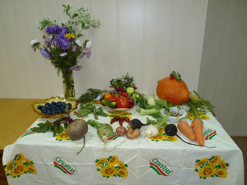 P1040045.JPG