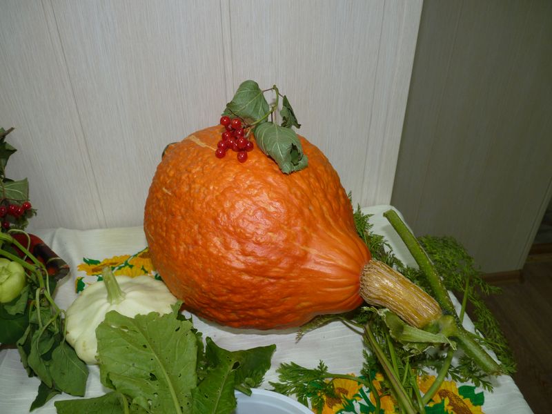 P1040046.JPG