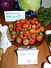 P1040031.JPG