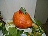 P1040046.JPG