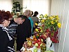 P1040063.JPG