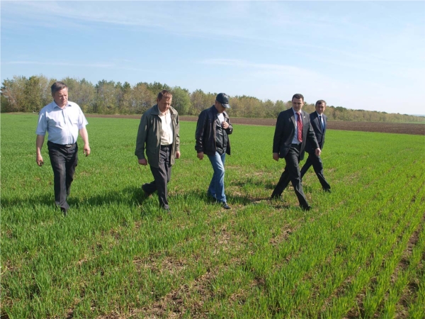 Министр сельского хозяйства Сергей Павлов ознакомился с ходом весенне-полевых работ в Аликовском районе