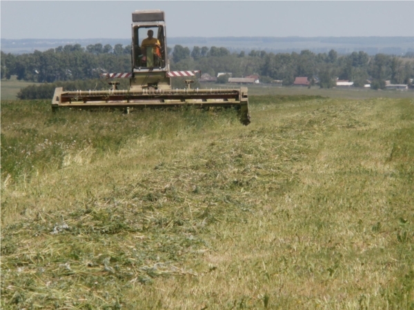 В Канашском районе приступили к заготовке кормов