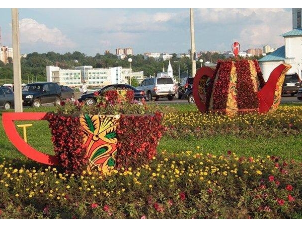 Бархатцы по вертикали