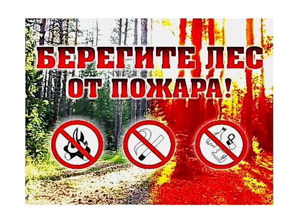 _г.Алатырь: с 28 июня по 18 июля будет ограничено пребывание граждан в лесах
