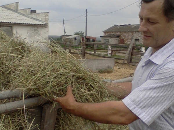 На полях Шумерлинского района продолжается заготовка кормов