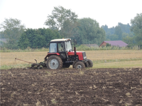 Дожди не стали помехой сельхозпредприятиям района, ведущим подготовку почвы к озимому севу