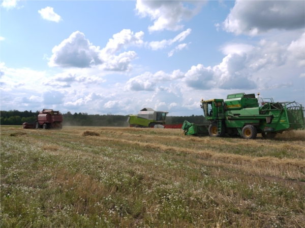 Сегодня стоит теплая ясная погода, работники сельхозпредприятий Ядринского района вновь вышли на поля