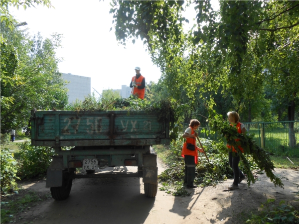 Аллею Ветеранов приведут в порядок