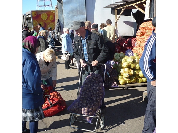 _Дары осени – 2013: в Ленинском районе 31 августа 2013 года в ТК «Николаевский» состоится праздничное открытие сельхозярмарки