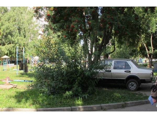 Авто на травке
