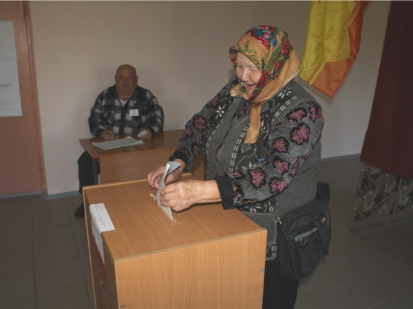 Козловский район: на 12 часов утра проголосовало 22,85% избирателей