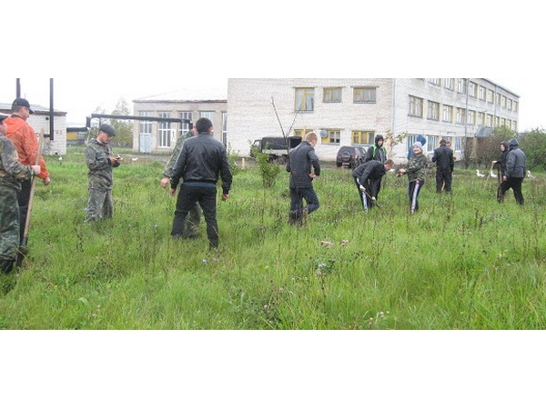 В Трехбалтаевской школе Шемуршинского района прошёл День дерева