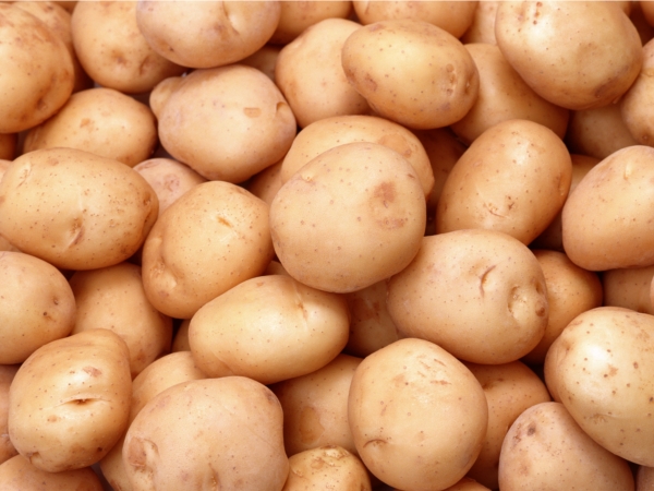В рамках проведения месячника «Дары осени-2013» в Шумерле реализовано 43, 3 тонн картофеля