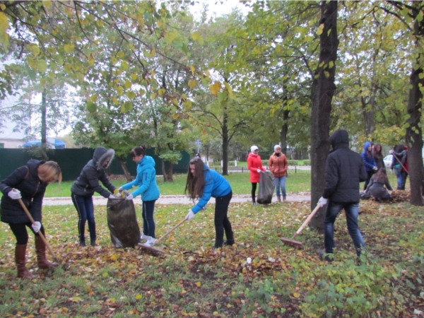356 мешков опавшей листвы и случайного мусора собрала студенческая молодежь за неделю