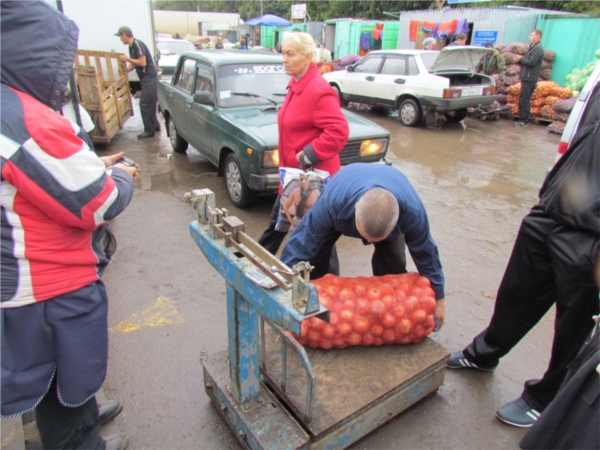 Месячник «Дары осени - 2013»: жители Ленинского района г.Чебоксары закупили 664,38 т овощей