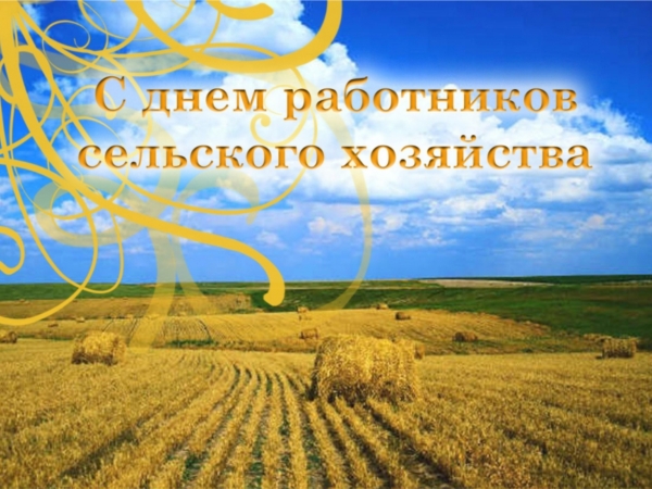 Аграрии Шумерлинского района отметили свой профессиональный праздник