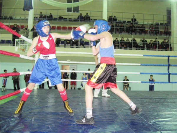 Команда МБОУДОД «ДЮСШ» показала хорошие результаты в традиционном Республиканском турнире по боксу