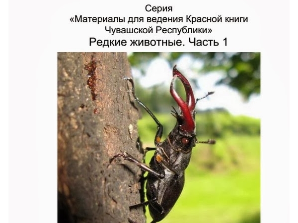 В Чувашской Республике изданы материалы для ведения Красной книги