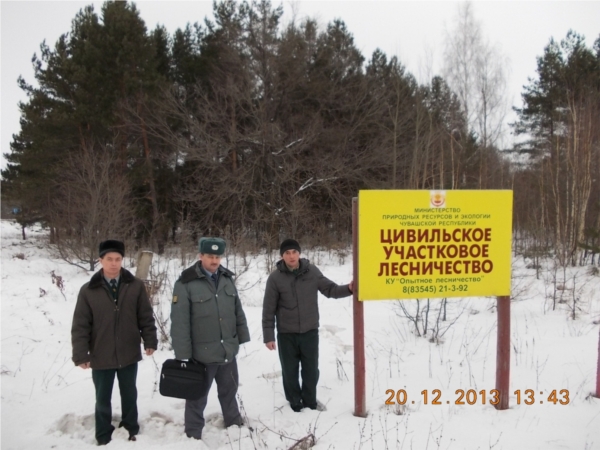 В Опытном лесничестве проводятся мероприятия по охране хвойных молодняков от незаконных рубок