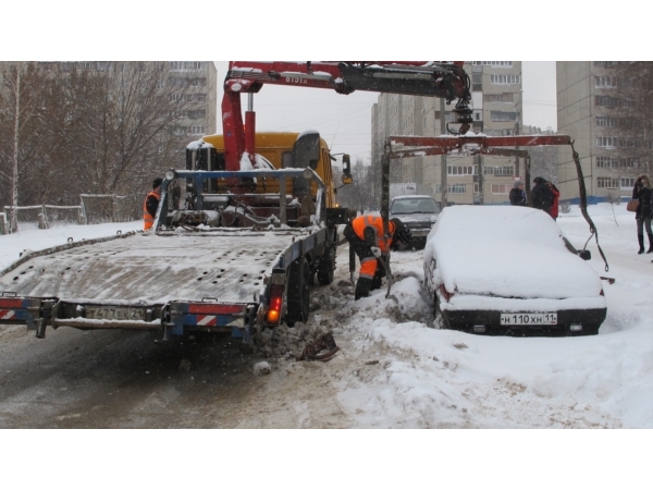 Железные подснежники