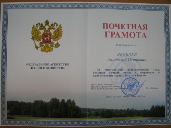 Заместитель министра А. Яковлев награжден Почетной грамотой Рослесхоза