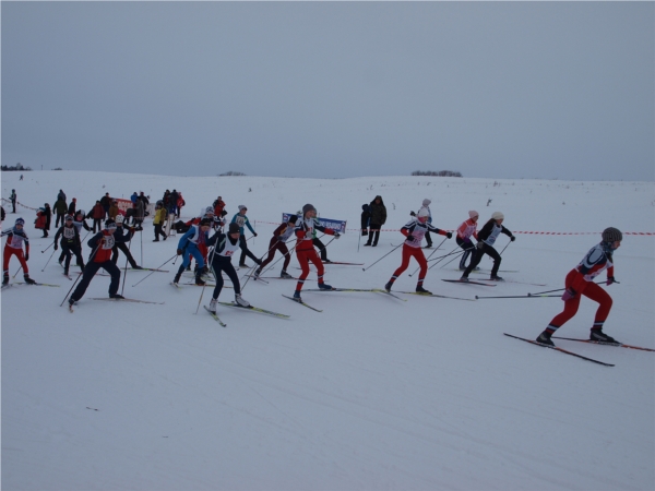 В Аликово состоялся спортивный праздник «Лыжня России - 2014»