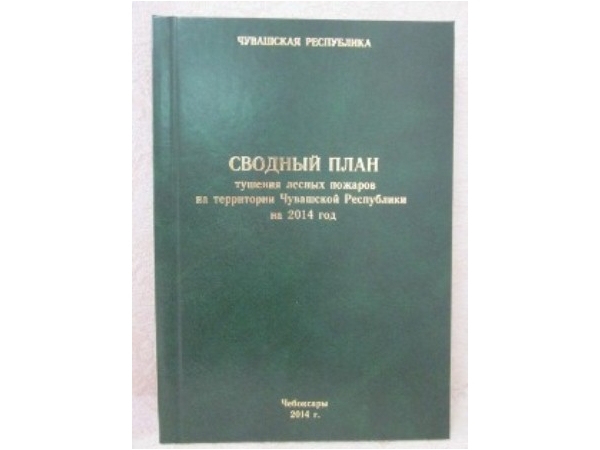 Федеральным агентством лесного хозяйства согласован Сводный план тушения лесных пожаров на территории Чувашской Республики на 2014 год