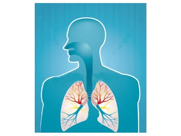 Самыми распространенными болезнями жителей Чувашии в 2013 году стали заболевания органов дыхания