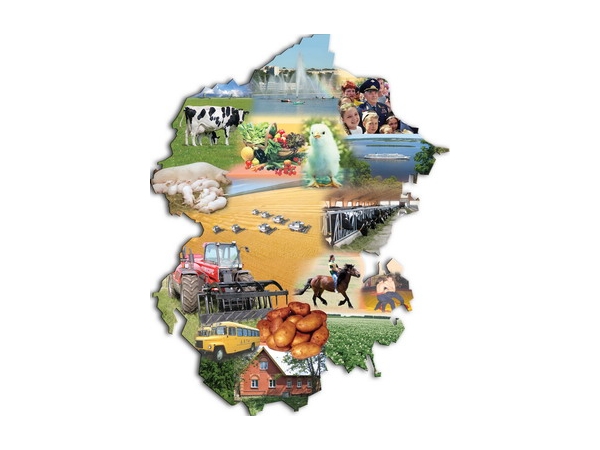 Чувашия отмечена в числе лучших регионов по эффективному проведению конкурсов «Развитие семейных животноводческих ферм» и «Поддержка начинающих фермеров»