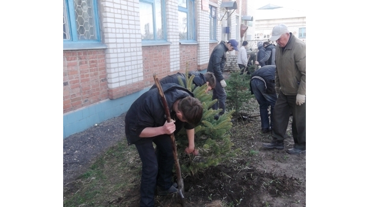 Образовательные организации Ядринского района вносят свой вклад в наведение чистоты в эти прекрасные весенние дни