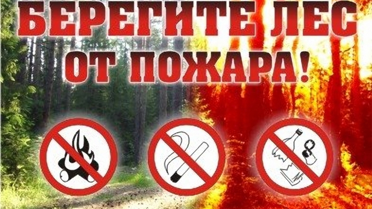 Берегите лес от пожара