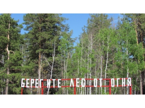 Лес под угрозой