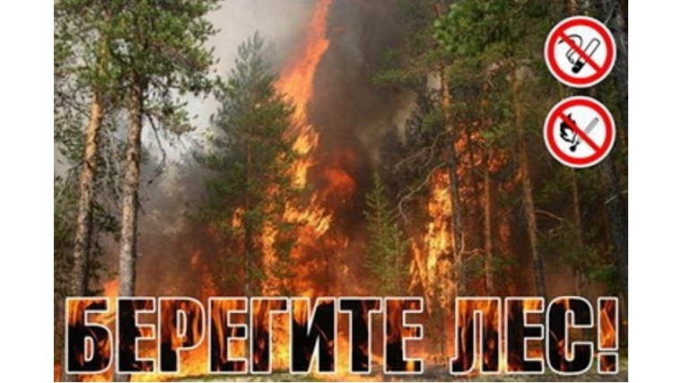 В лесах Чувашской Республики сохраняется чрезвычайная пожарная опасность