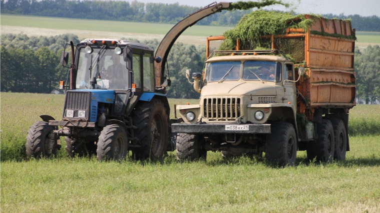 Шумерлинский район: заготовка кормов - самая продолжительная и напряженная кампания в сельском хозяйстве