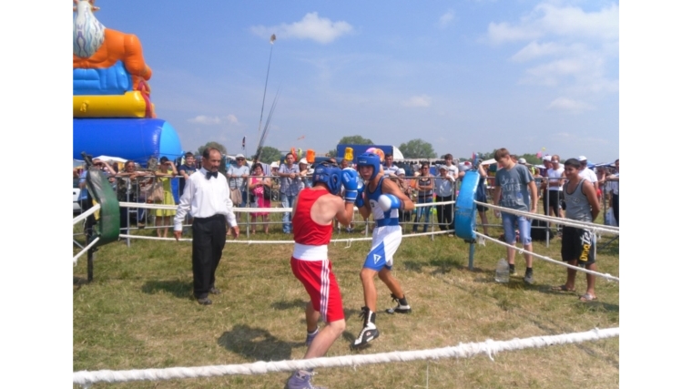 В дни проведения Традиционной Цивильской Тихвинской ярмарки состоится республиканский турнир по боксу
