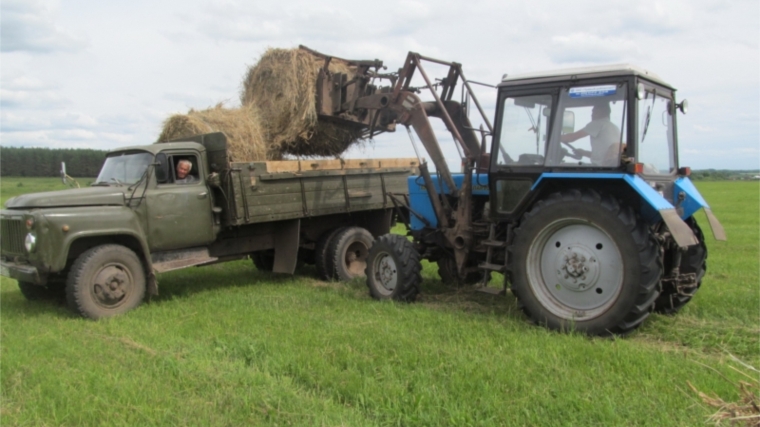 Заготовка кормов в Канашском районе