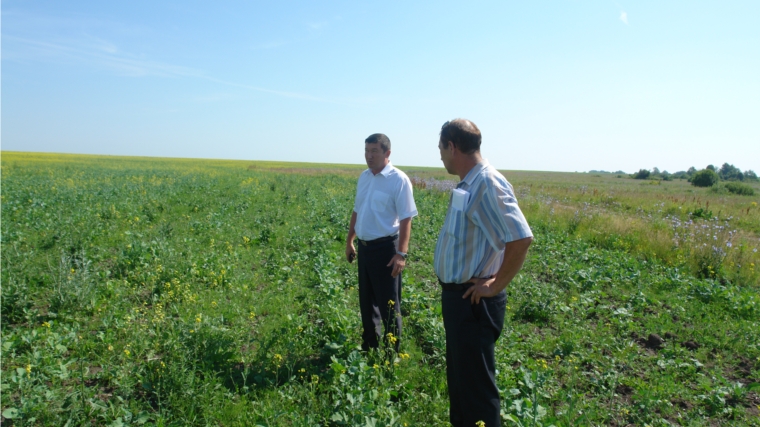 Заместитель министра сельского хозяйства Чувашской Республики совершил рабочую поездку в Шумерлинский район